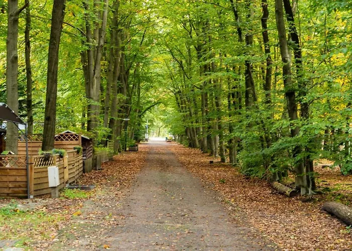 Casa vacanze Wooden Victor De Vos I Slapen In Echte Boomhut *
